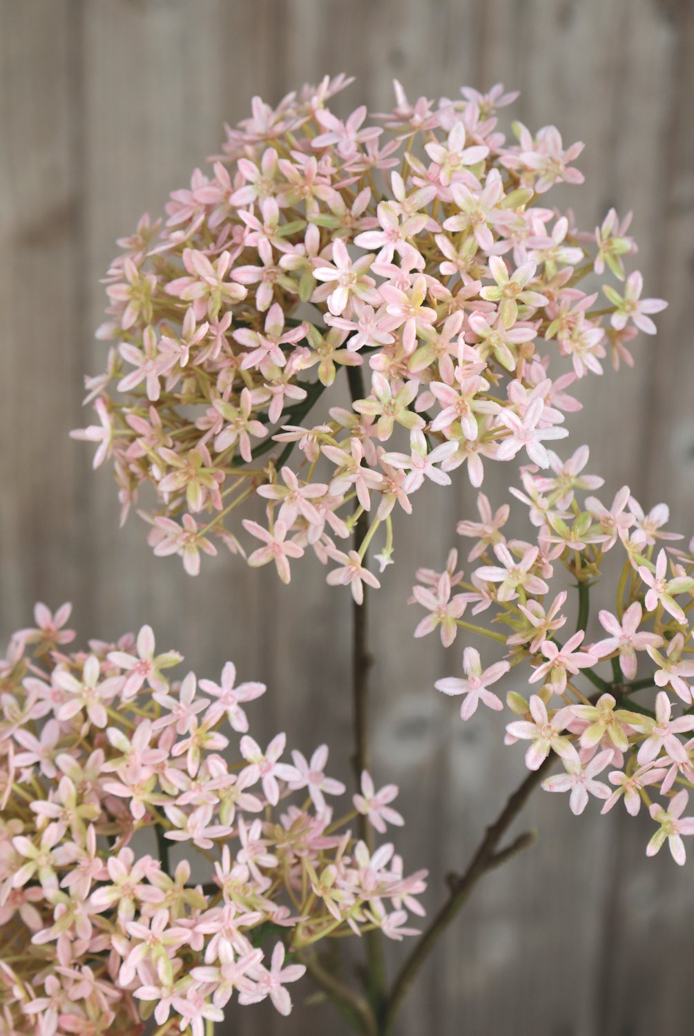 3304 508 a3 Искусственная корона, 3 цветка, 76 см, розово-зеленая H-andreas  - Вид №3