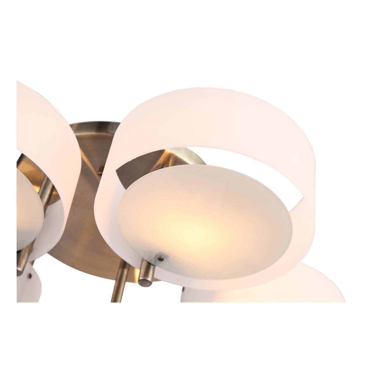 Потолочная люстра ST Luce Foresta SL483.352.05 ST LUCE ДИЗАЙНЕРСКИЕ, FORESTA 00-3888714 Белый  - Вид №2