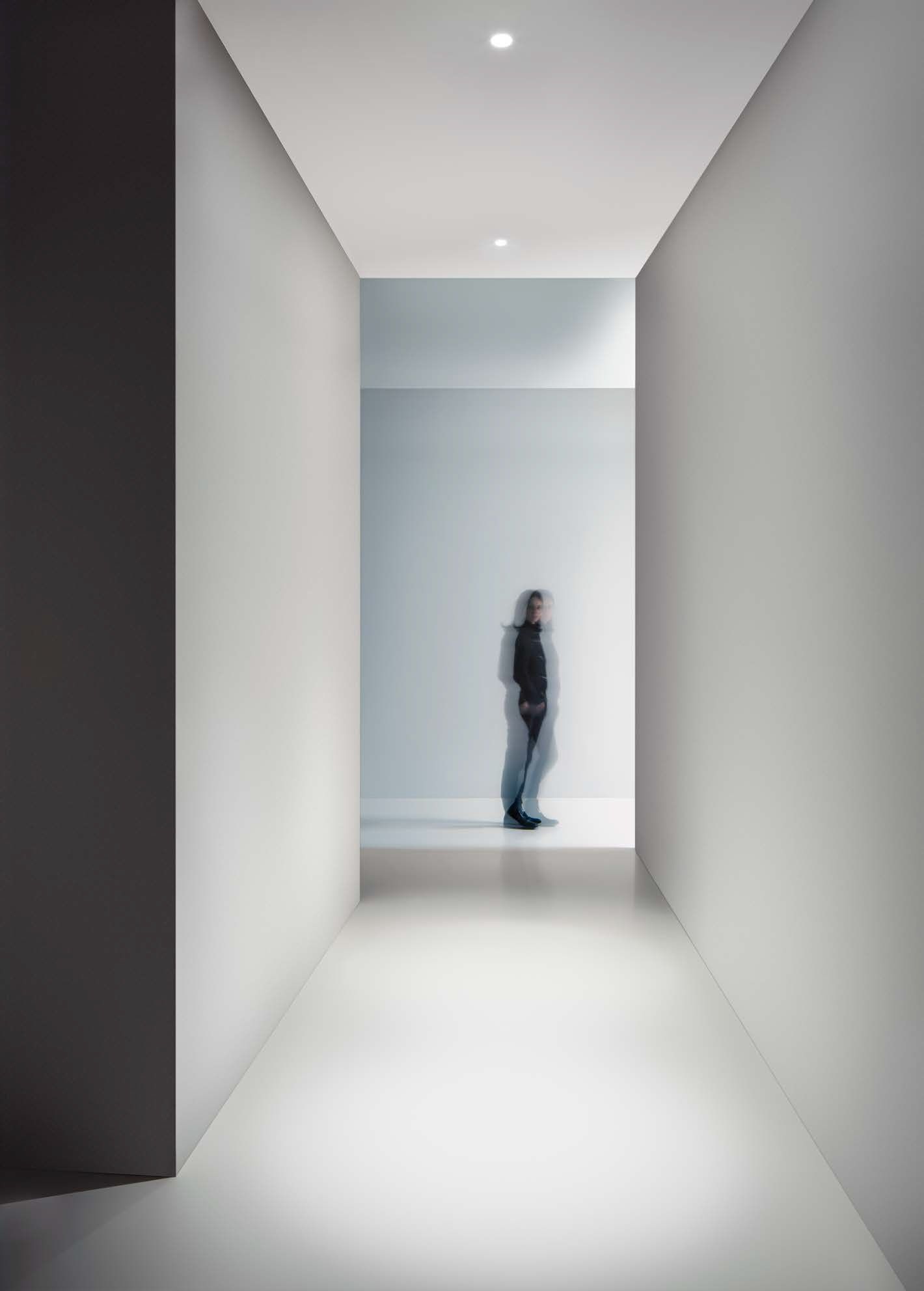 Круглый утопленный прожектор DGA тон ARCH-00146447 - Вид №2