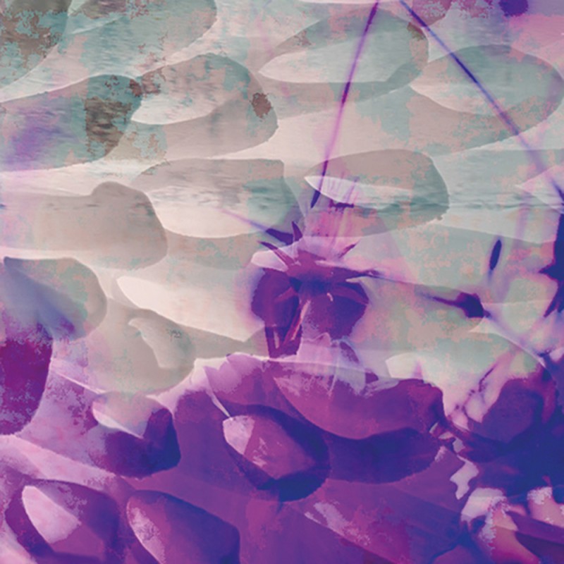 2273/CX38 Картина 2273 Adriani e Rossi 