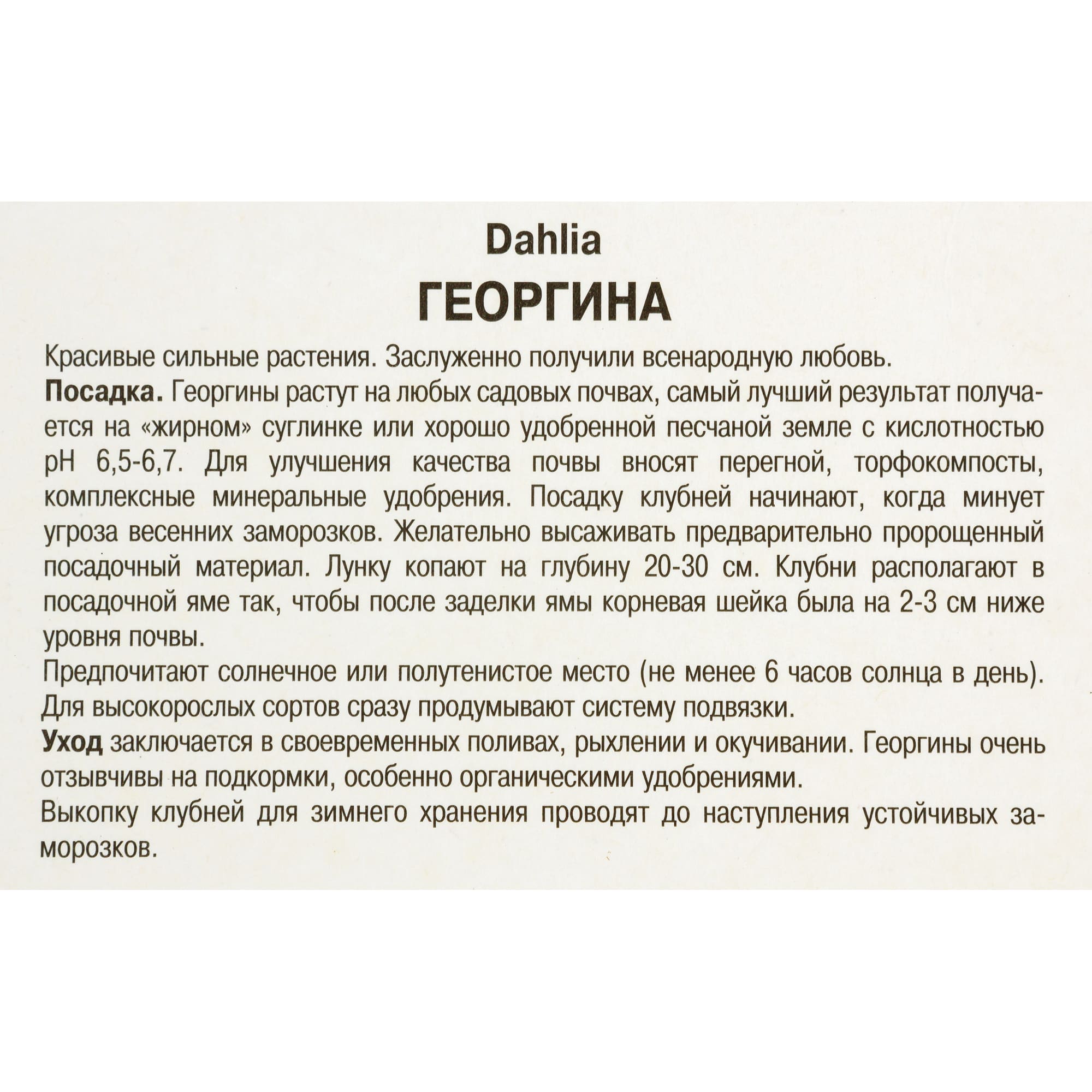 82118670 Георгины декоративные «Кристина», 1 шт Santreyd  - Вид №2