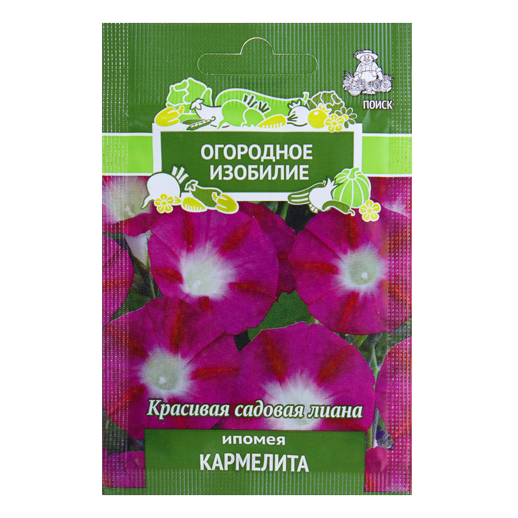 18358887 Ипомея «Кармелита» Santreyd 