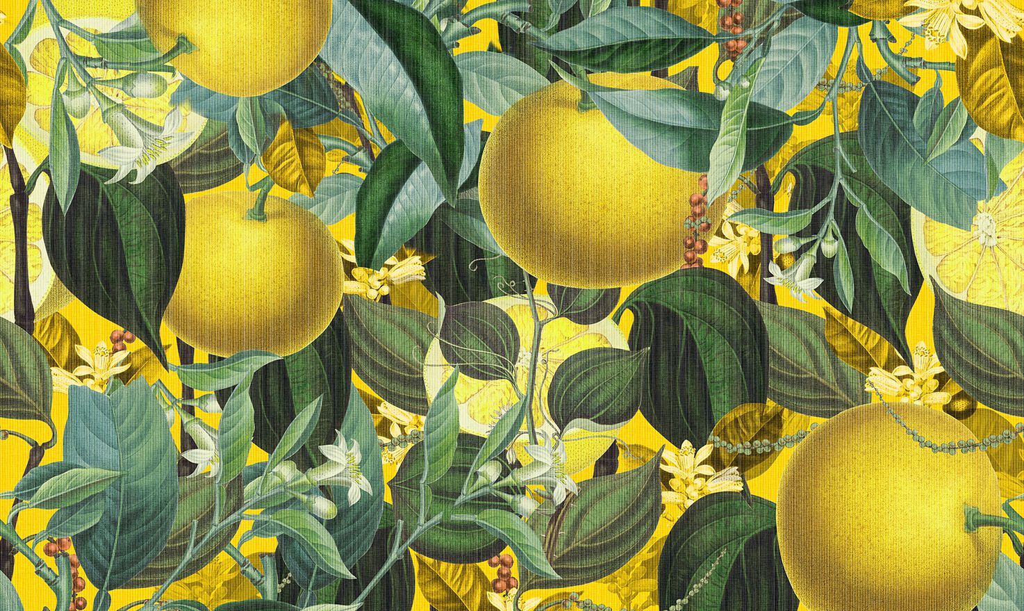 Обои с цветочными мотивами Jannelli&Volpi GIANT ORANGE ARCH-00003004 - Вид №1