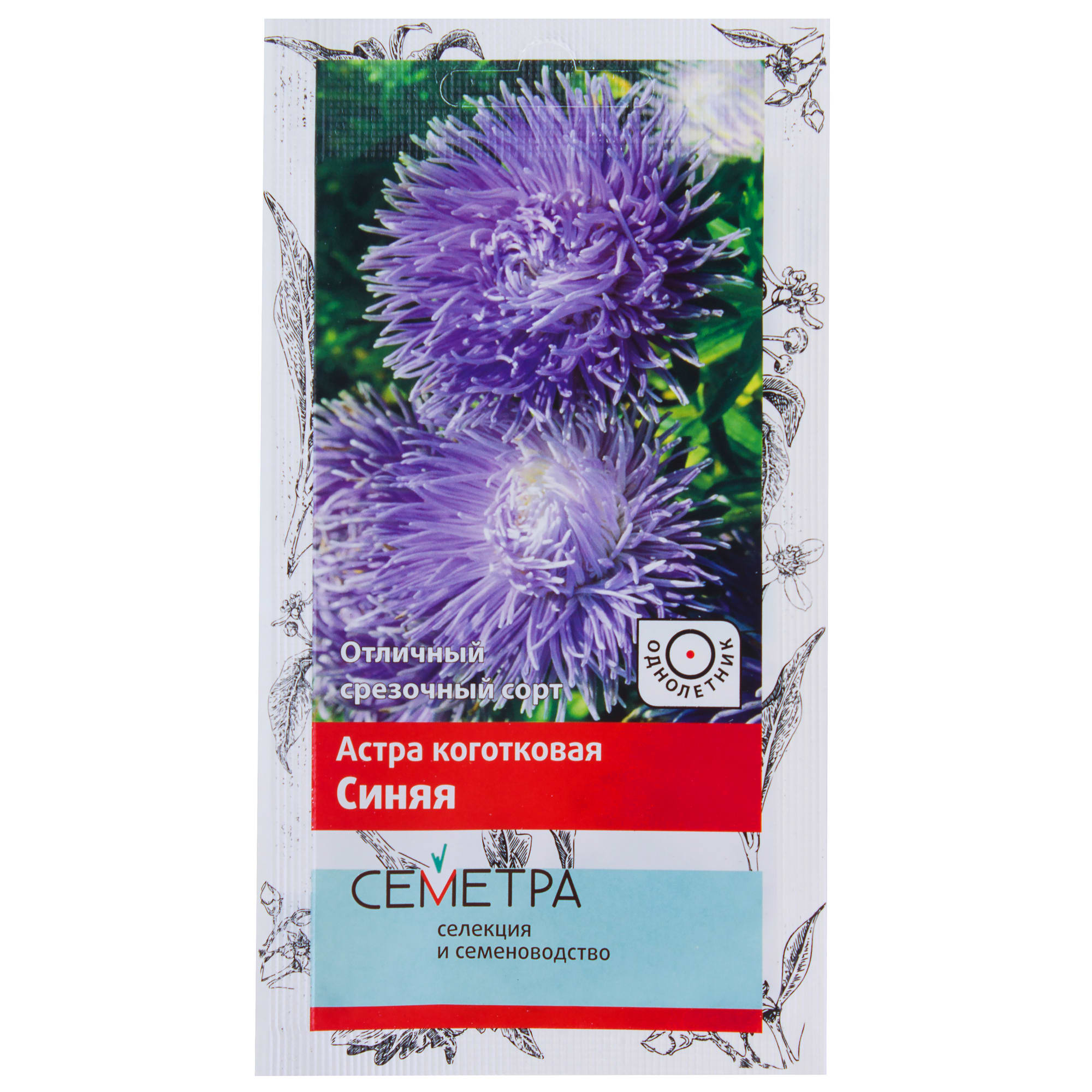 18359071 Астра коготковая цвет синий Santreyd 