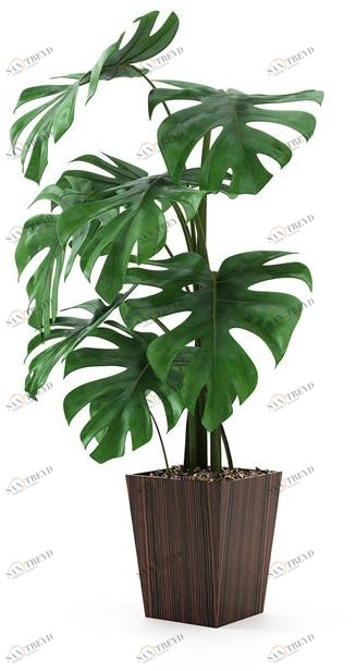 Laskasas Деревянная ваза sun-id-1392656