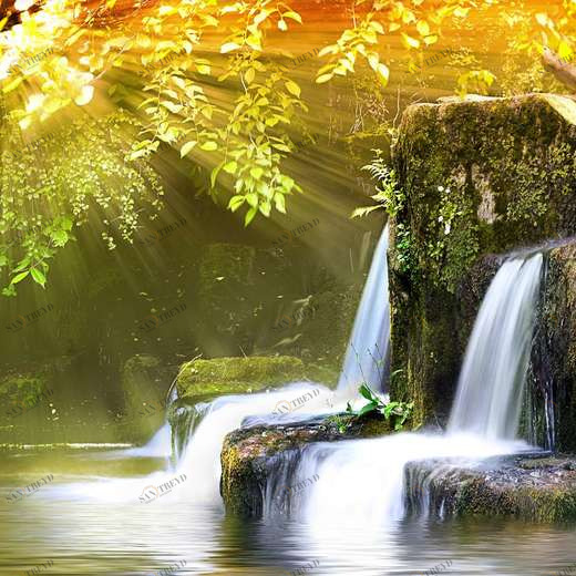 WP00264 Фотообои Verol Фотообои decoline 1х1 м