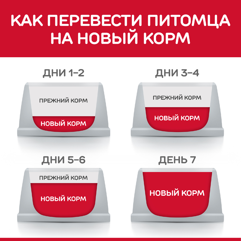 ПР0036440 Корм для кошек HILL"S Science Plan для поддержания жизненной энергии и иммунитета, с уткой сух. 15кг Hill's  - Вид №5