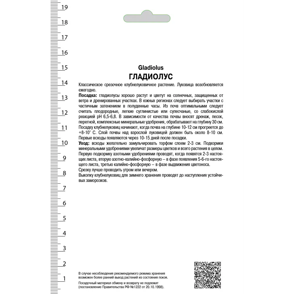 Гладиолус крупноцветковой Оскар 10/12, 3 шт 81945443 STLM-2115994 ПОИСК  - Вид №1