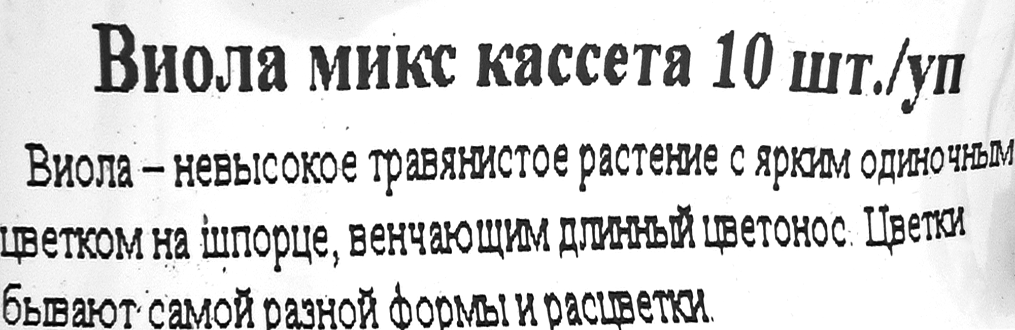 Виола садовая многолетняя Santreyd - ароматные цветы для вашего сада 83248320 STLM-0039937 - Вид №2