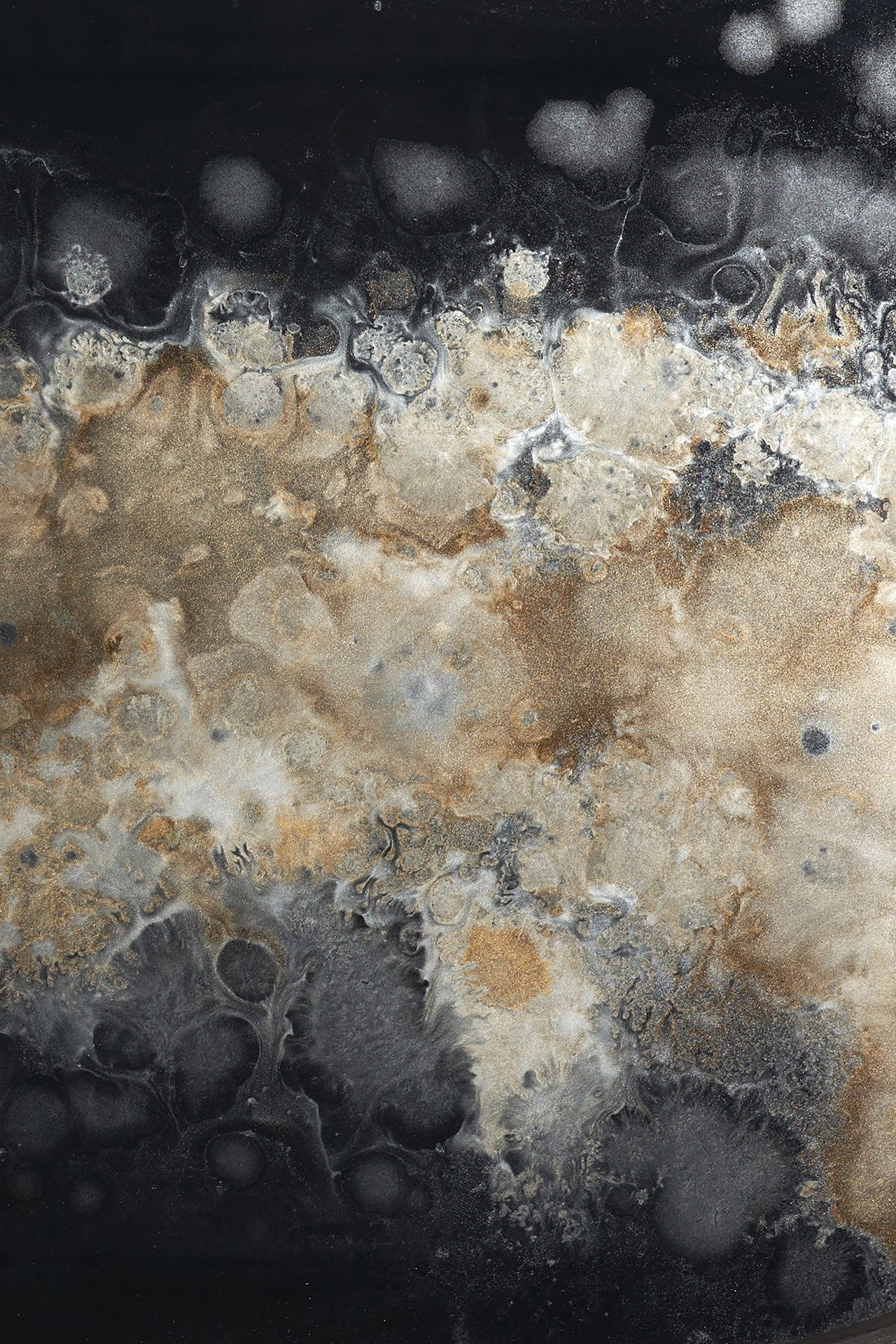 ARCH-00037641 Лоток для хранения яиц Ethnicraft Бельгия Классическая - Вид №3