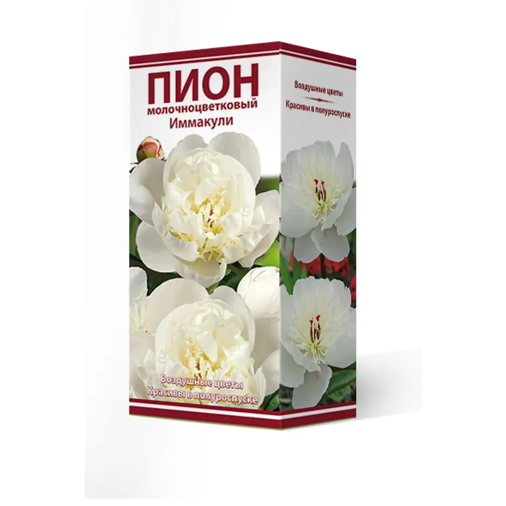 Пион молочноцветковый Иммакуле 2/3 89381544 STLM-2133104 ПОИСК 
