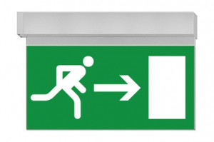 DST-1639 Ikus 320-b Daisalux Светильники сигнальные Серебристо-Серый