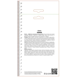 Канна зеленолистная Сэлмон Пинк