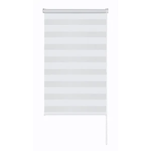 Рулонная штора день-ночь MIAMOZA Петер 55x160 см белая 89411378