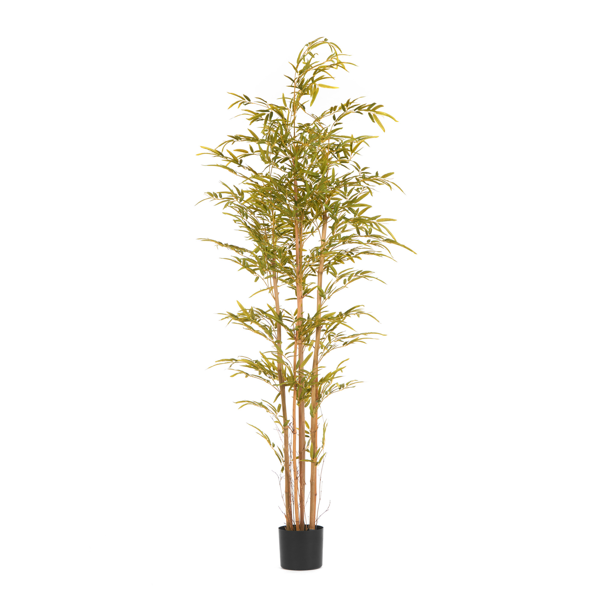 2000983223319 Бамбук высота 190 см GUDEE 
