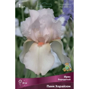 Ирис бородатый Пинк Хорайзон