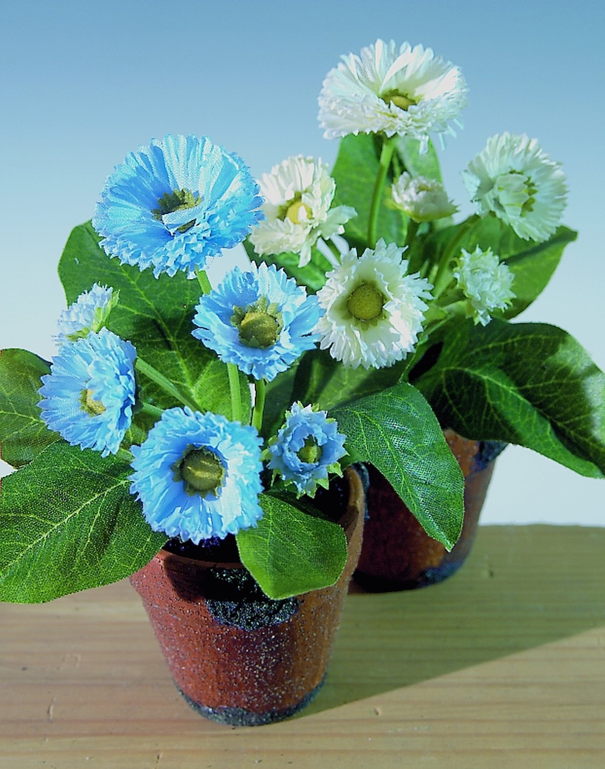 3029 110 a2 Искусственный цветок Bellis, в горшке, 6-цветков, 15 см, голубой H-andreas 