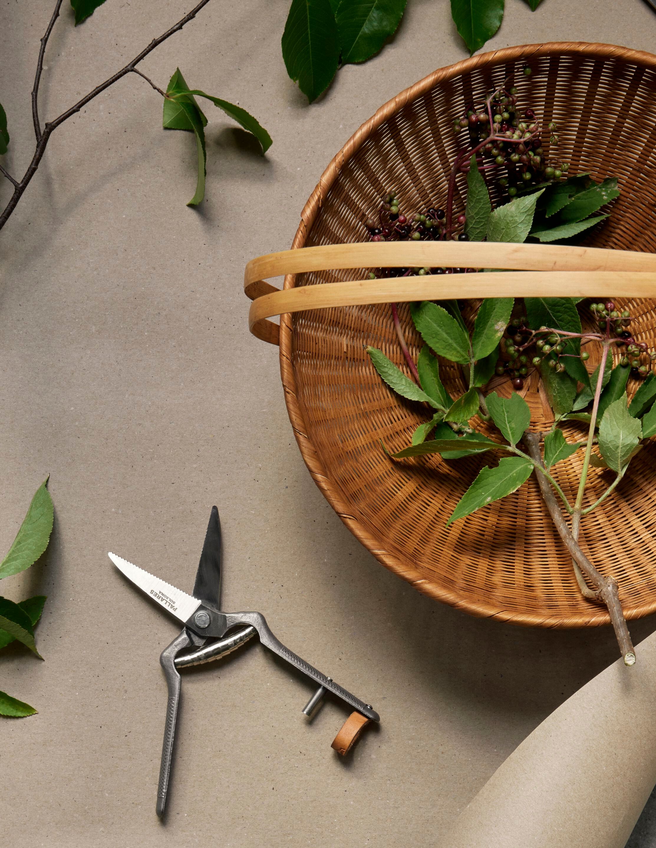 Секатор Audo Copenhagen Pallarès ARCH-00076488 - Вид №10