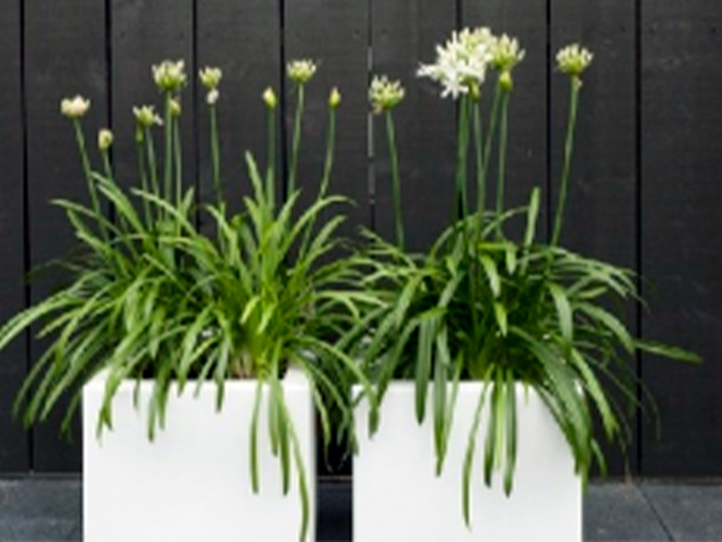 Кашпо коллекции "Ардена" АD-01-41 60/60/60 ГеоПластБорд GPBST-63 - Вид №7