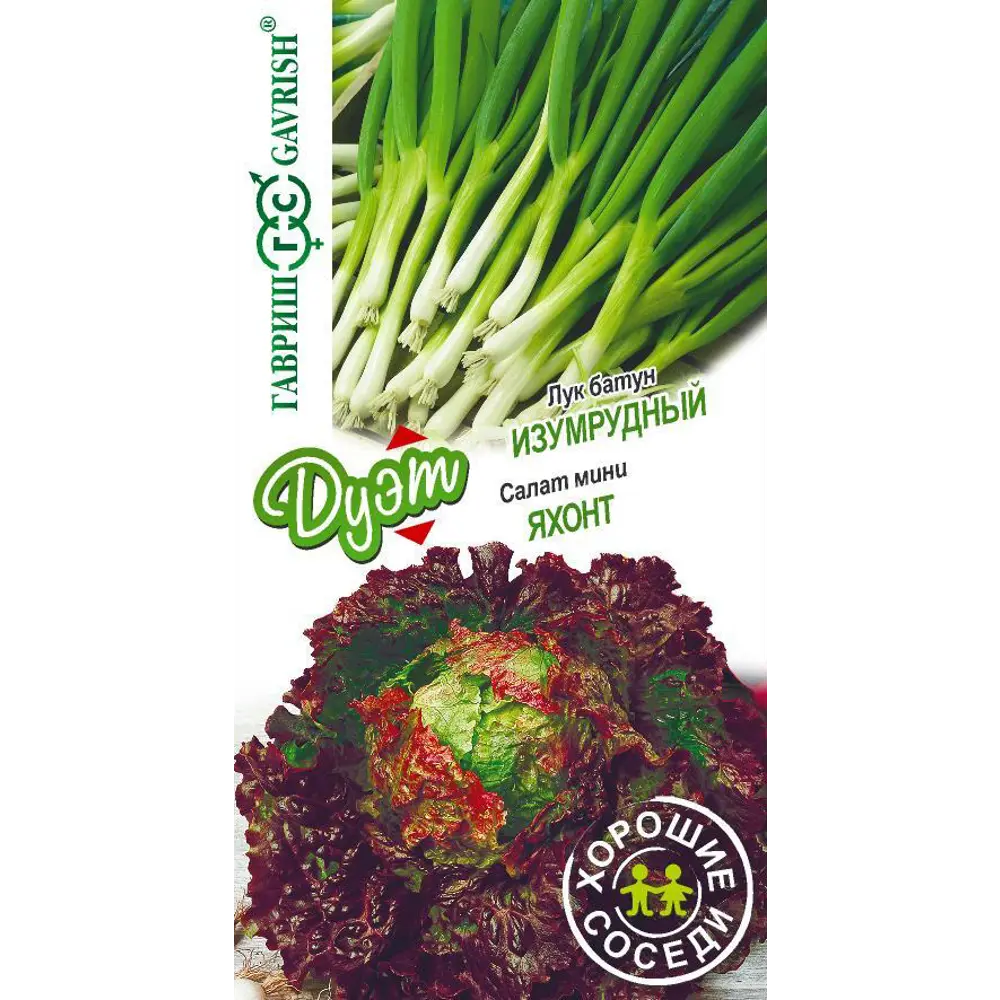 Семена овощей Гавриш лук-батун Изумрудный и салат Яхонт STLM-2124072