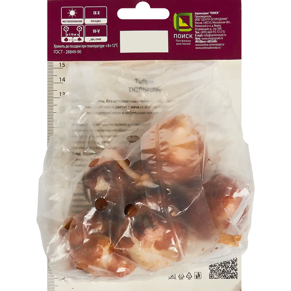 Тюльпан Триумф Том Паус, 5 шт ПОИСК STLM-2083527 - Вид №1