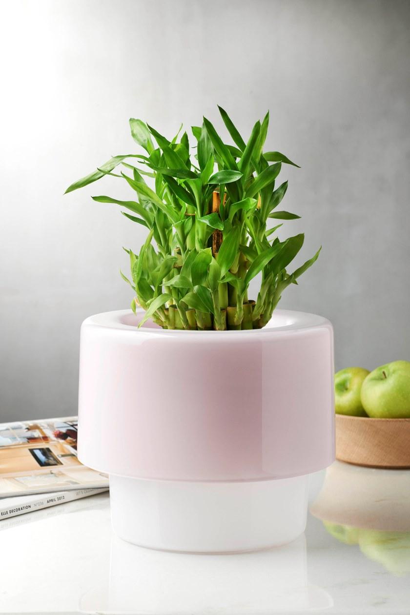 NUDE Хрустальная ваза Roots sun-id-1366276 - Вид №2