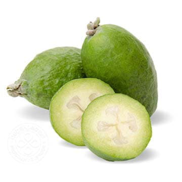 Фейхоа крупная Santreyd 26569