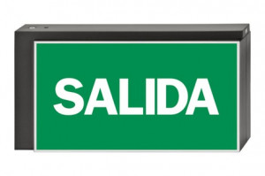 DST-817 Lisu pennant Daisalux Светильники аварийные Металлический Серый