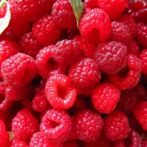 WP01833 Фотообои Verol Фотообои decoline 1х1 м