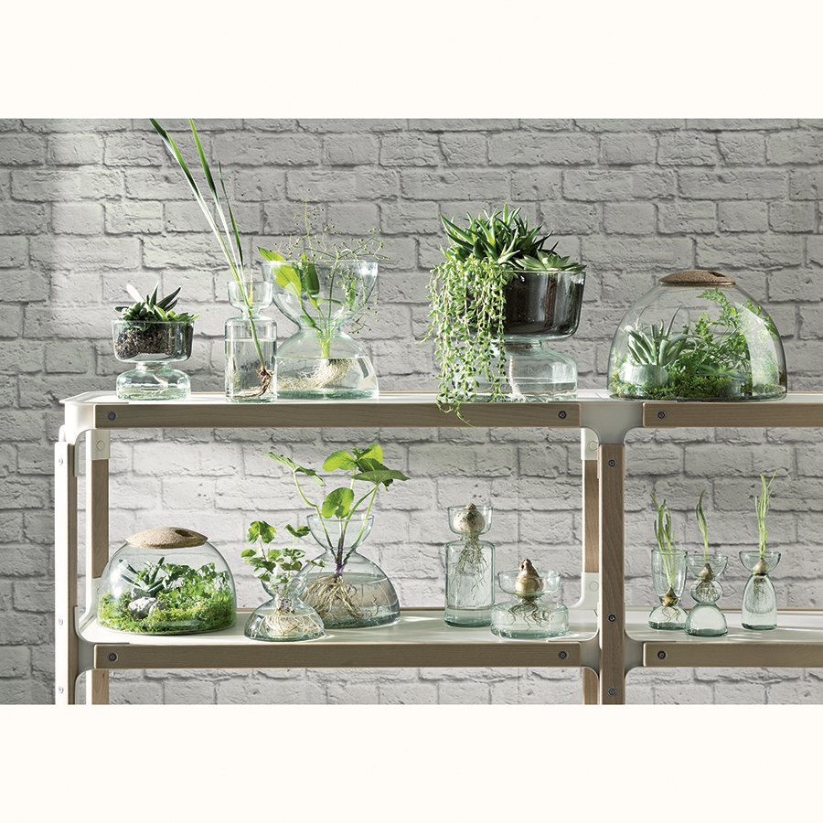 G1580-16-161 Флорариум canopy 16см LSA International  - Вид №1