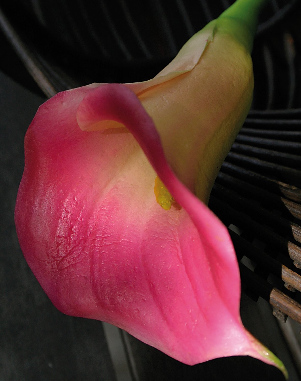 3829 515 a3 Пластиковая калла, 68 см, real touch soft, розовая H-andreas 