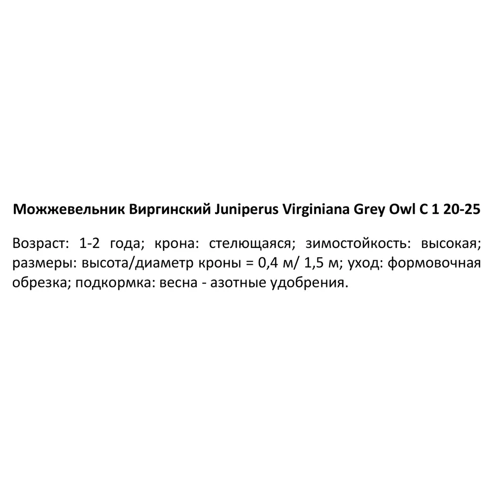 Можжевельник виргинский Грей Оул ø14 h35 см 84834009 STLM-2090994 PLANTMARKET  - Вид №2
