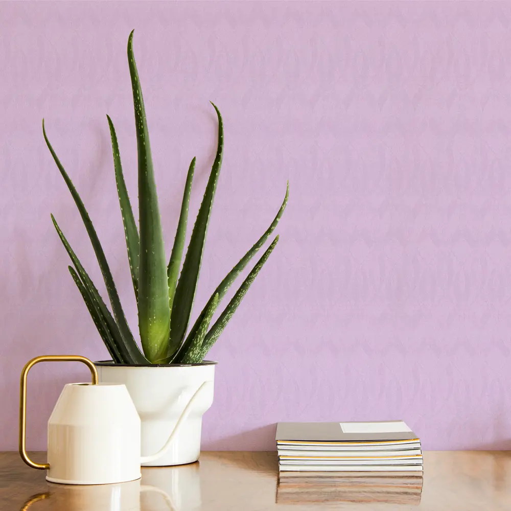 Обои флизелиновые HomeColor Hip-Hop фиолетовые 1.06 м 71100-56 82674786 STLM-2020386 Home Color - Вид №2