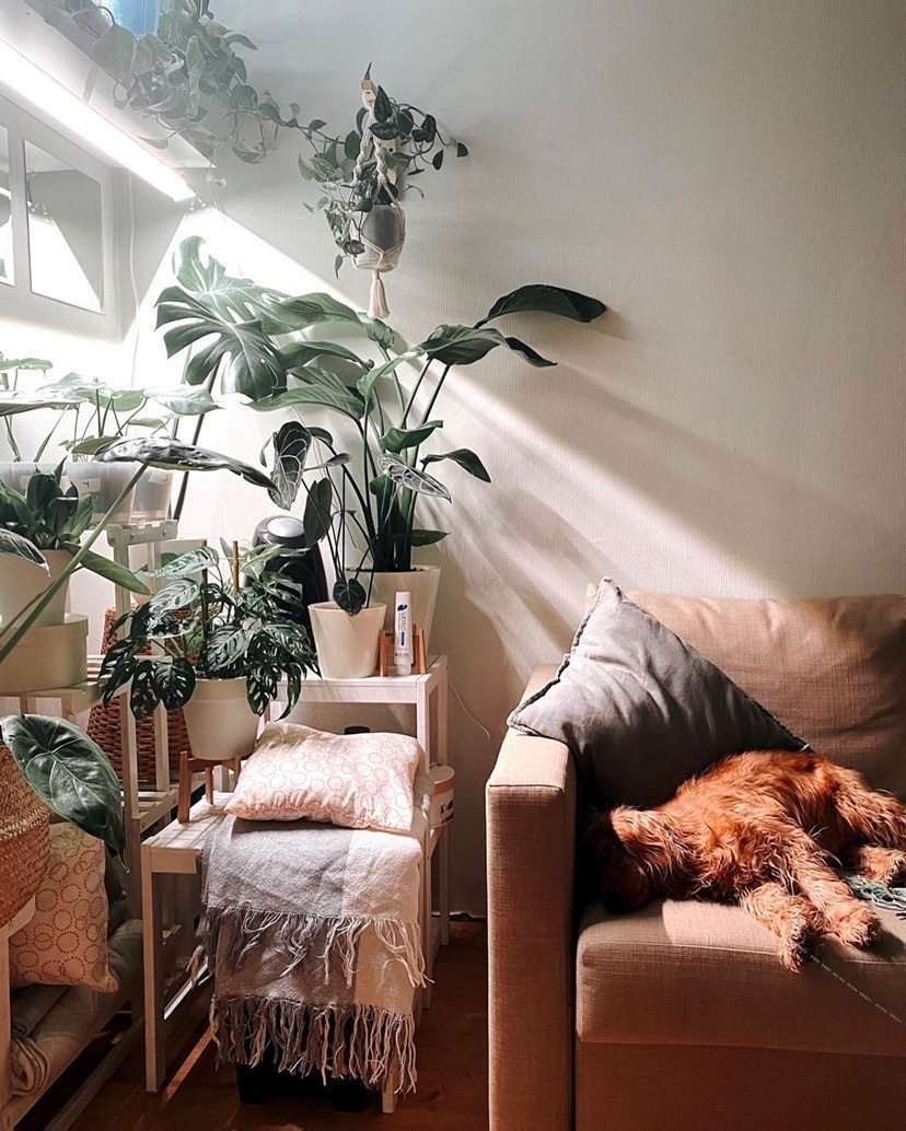 1118 Фитолампа для растений 50 Ватт. Длина 140 см LAB.Space  - Вид №6