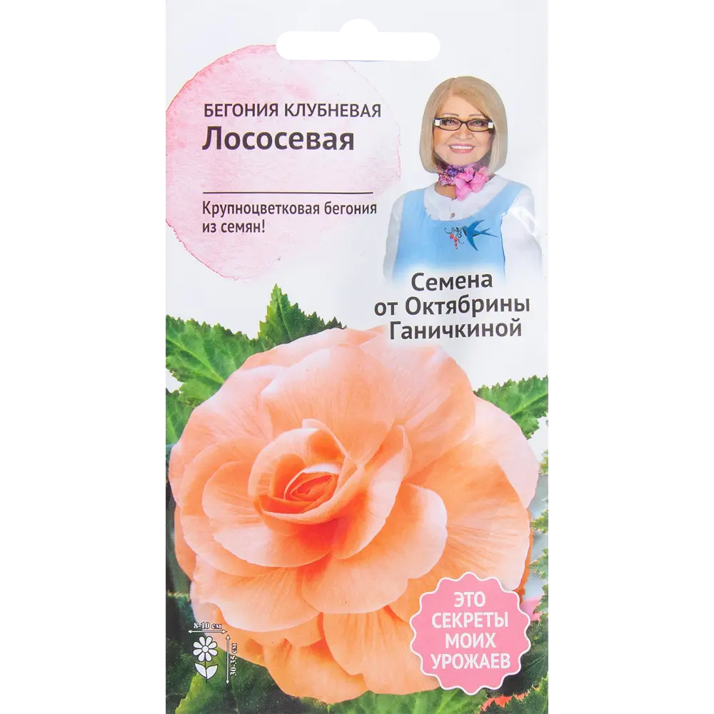 Бегония лососёвая 6 шт СЕМЕНА ОТ ОКТЯБРИНЫ ГАНИЧКИНОЙ STLM-2056826