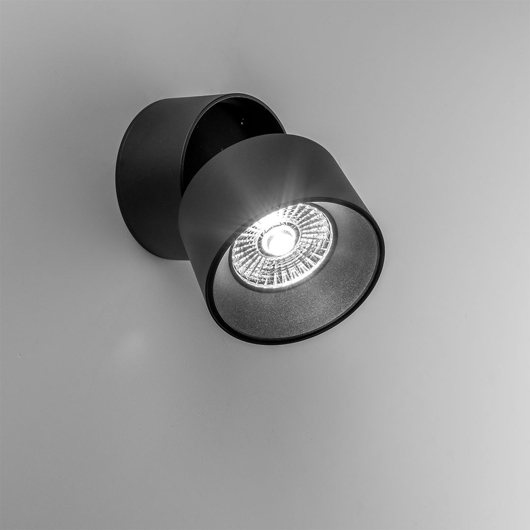 Светильник настенно-потолочный поворотный черный Frezia Light 119263 FREZIA LIGHT ДИЗАЙНЕРСКИЕ 00-3953639 Черный  - Вид №1