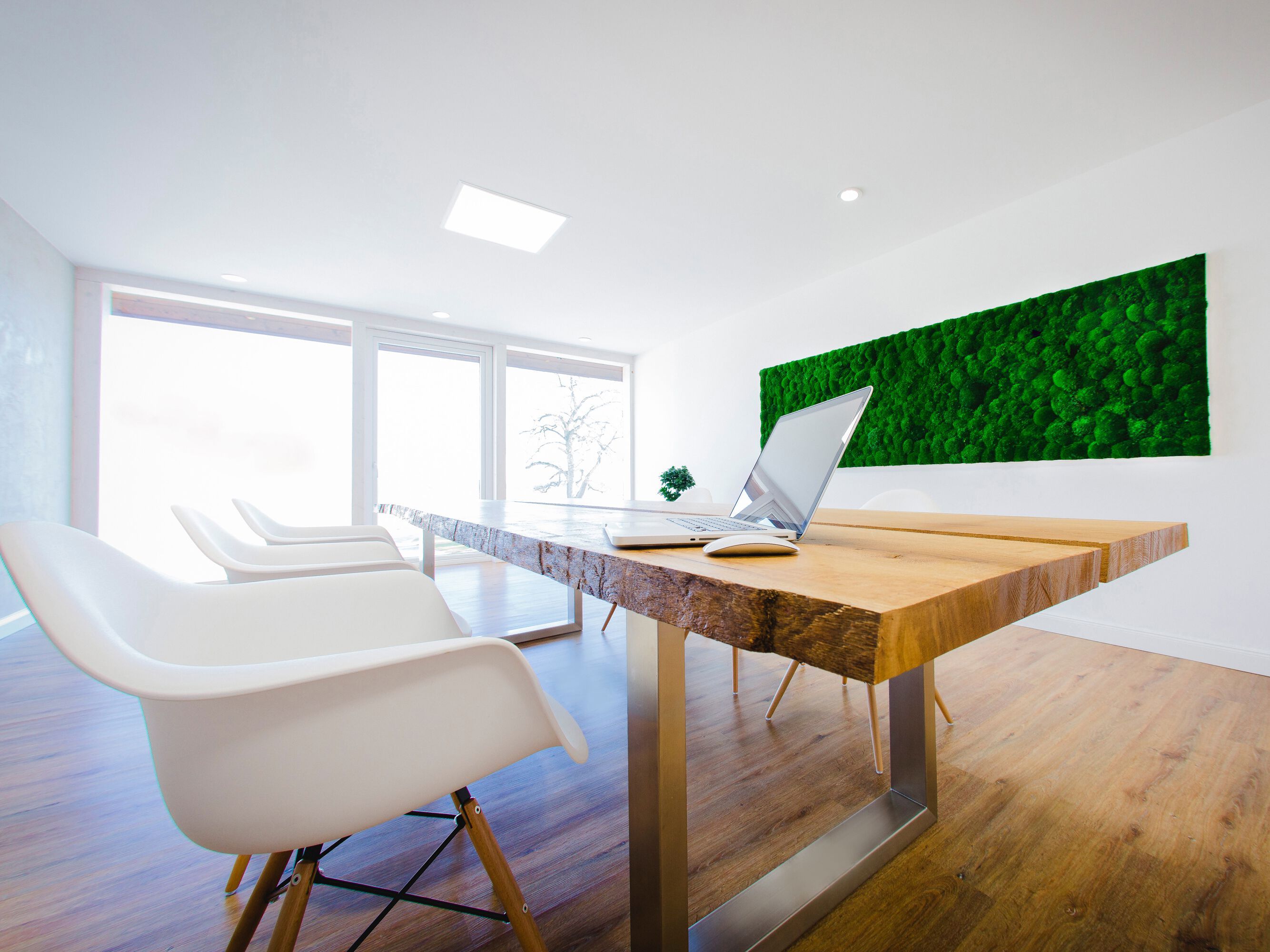 Растительная картина из мха Freund GmbH ARCH-00066512 - Вид №1