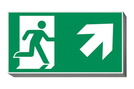 DST-557 Lisu Daisalux Светильники аварийные Металлический Серый 