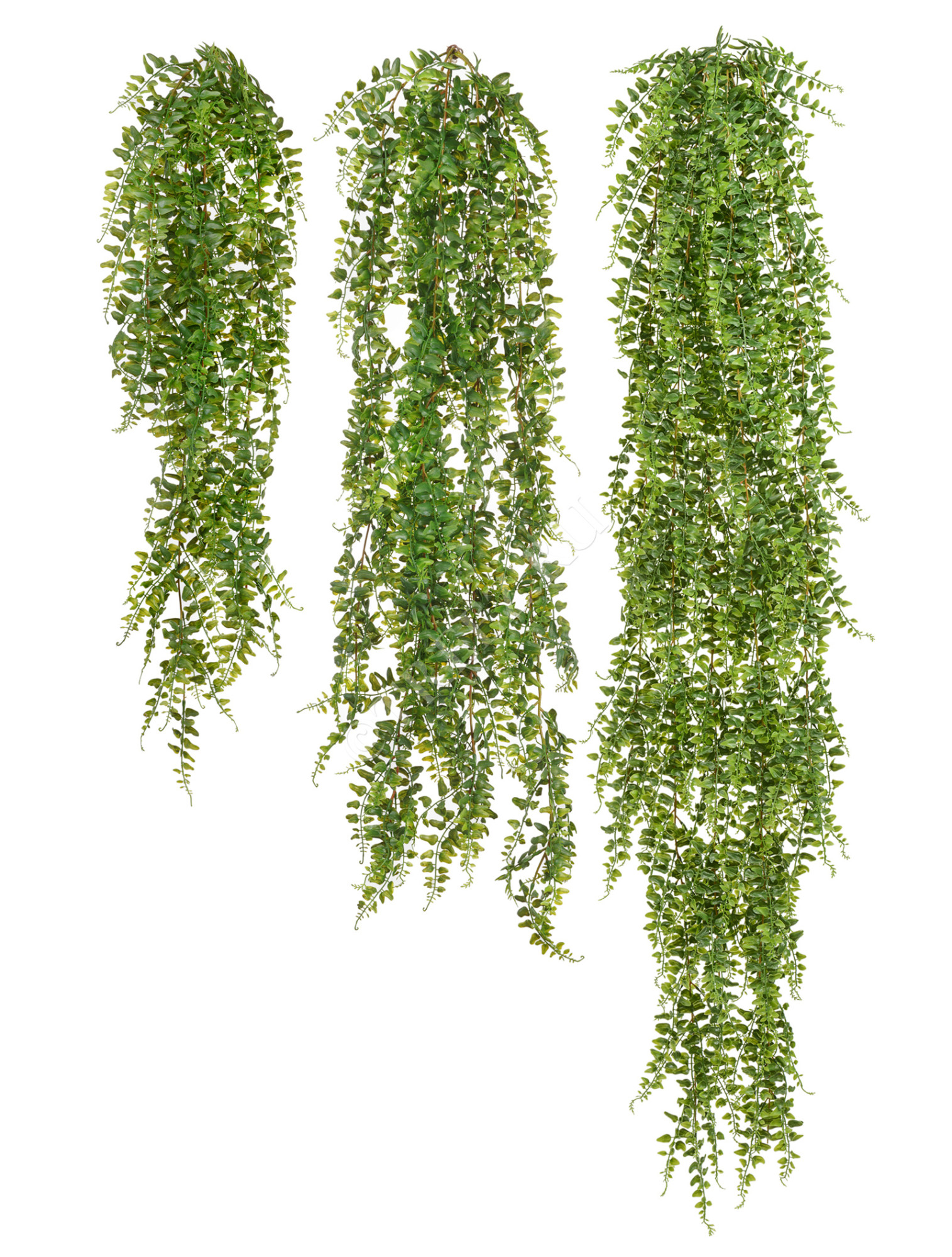 20.1412XXL Папоротник Лесной ампельный Цветочная коллекция 