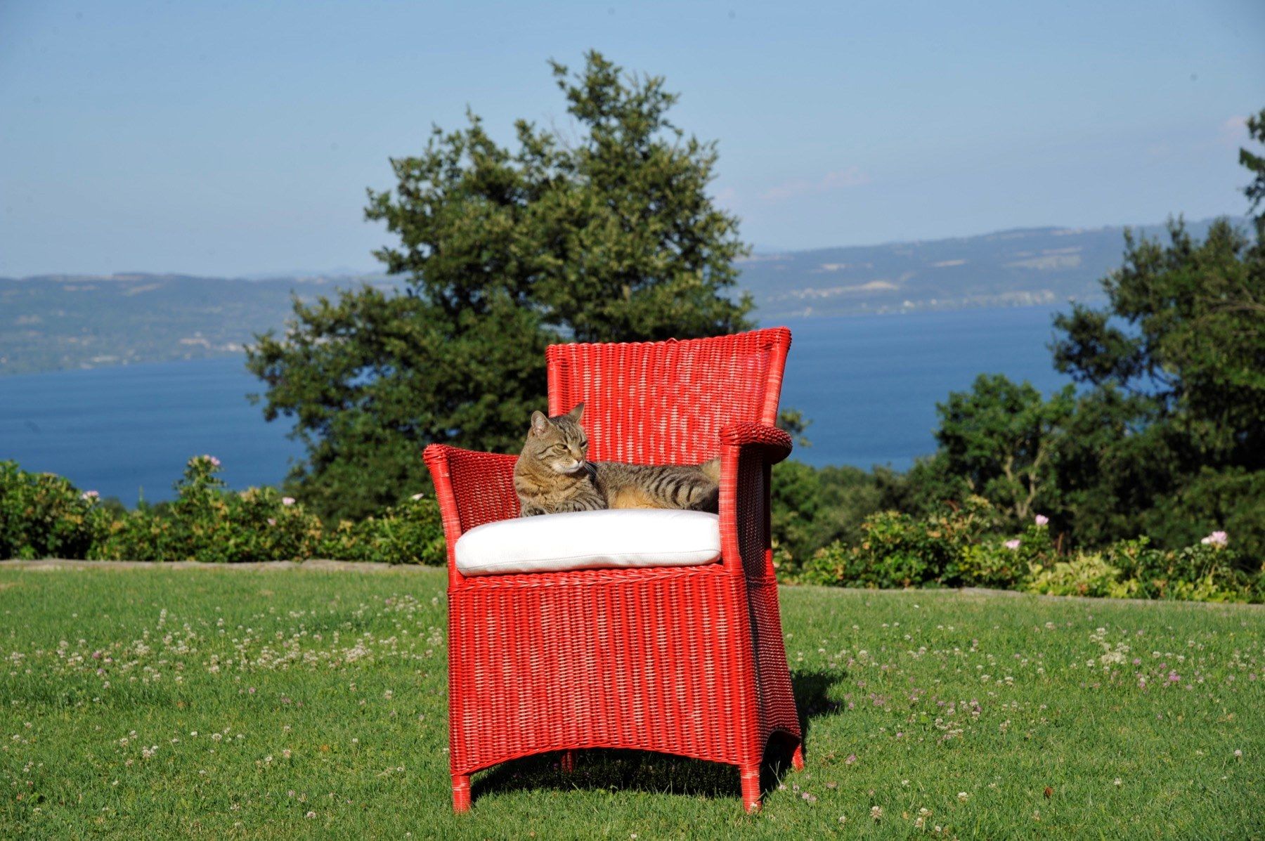 Кресло WaProLace® Unopiù CAPRI ARCH-00053126 - Вид №9