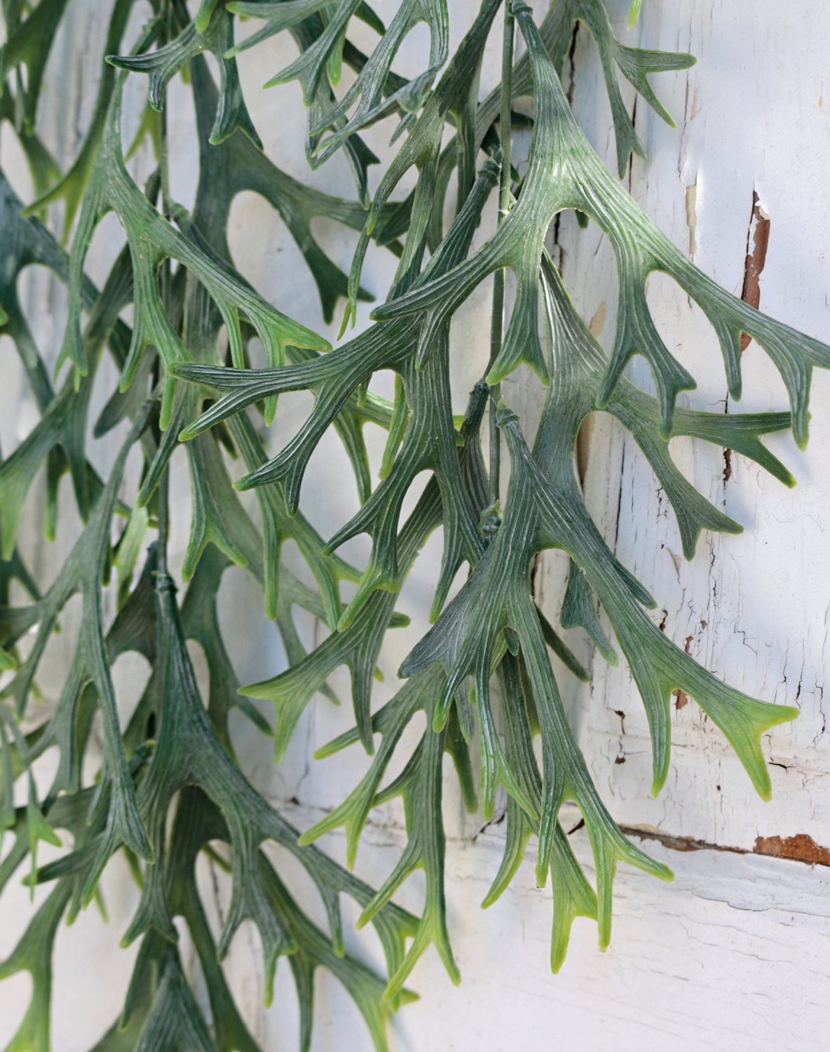 6128 809 a3 Вешалка для папоротника из искусственного рога, 74 см, зелено-серая H-andreas  - Вид №4