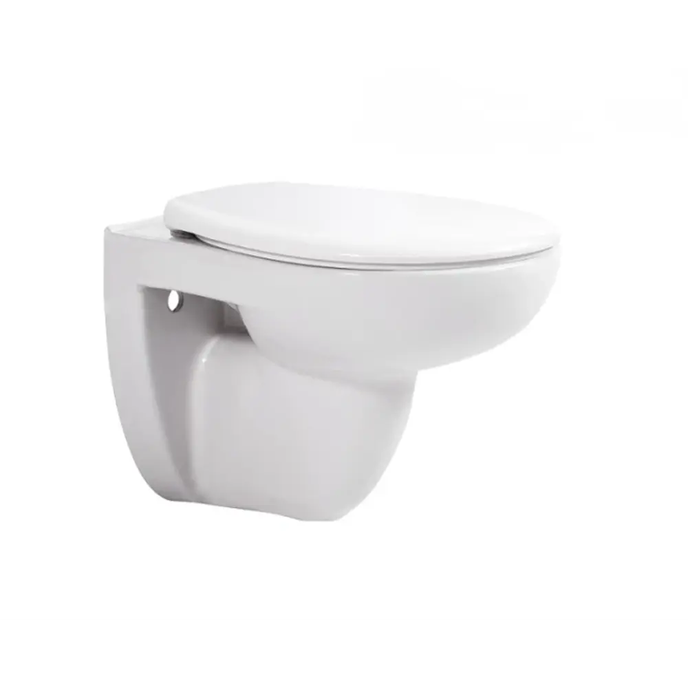 Унитаз подвесной Aquatek Каир AQ1170-00, безободковый, с сиденьем микролифт STLM-2199757