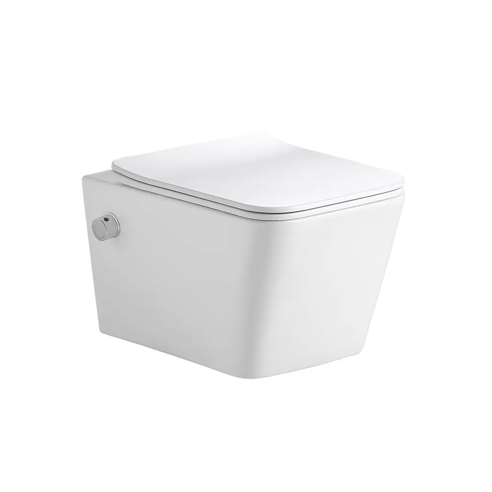 Унитаз подвесной Glory с функцией биде сиденье микролифт Santreyd STLM-2124701