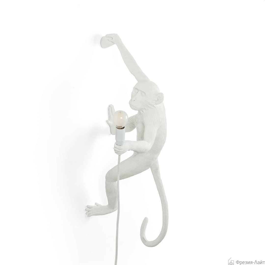 Seletti 14879 DX hanging MONKEY 1*4W настенный светильник обезьяна ПРАВЫЙ 116693