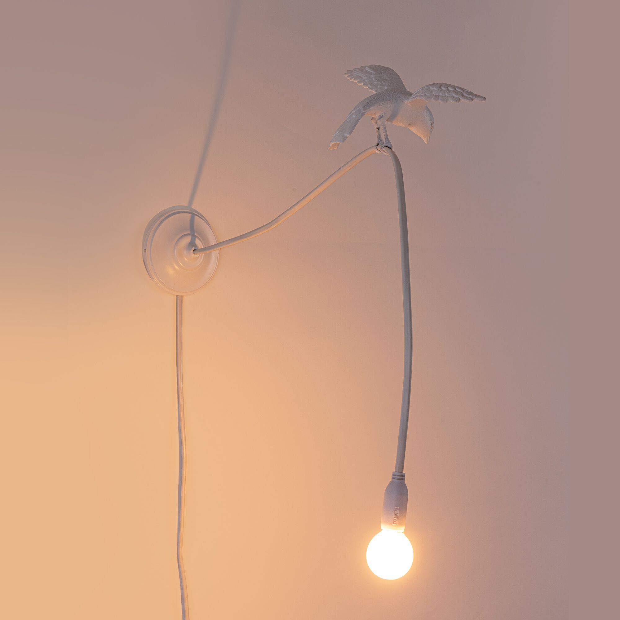 Светодиодный настенный светильник из смолы Seletti Sparrow Lamp ARCH-00021542 - Вид №1
