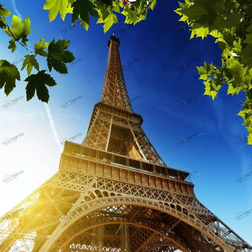 WP00124 Фотообои Verol Фотообои decoline 1х1 м