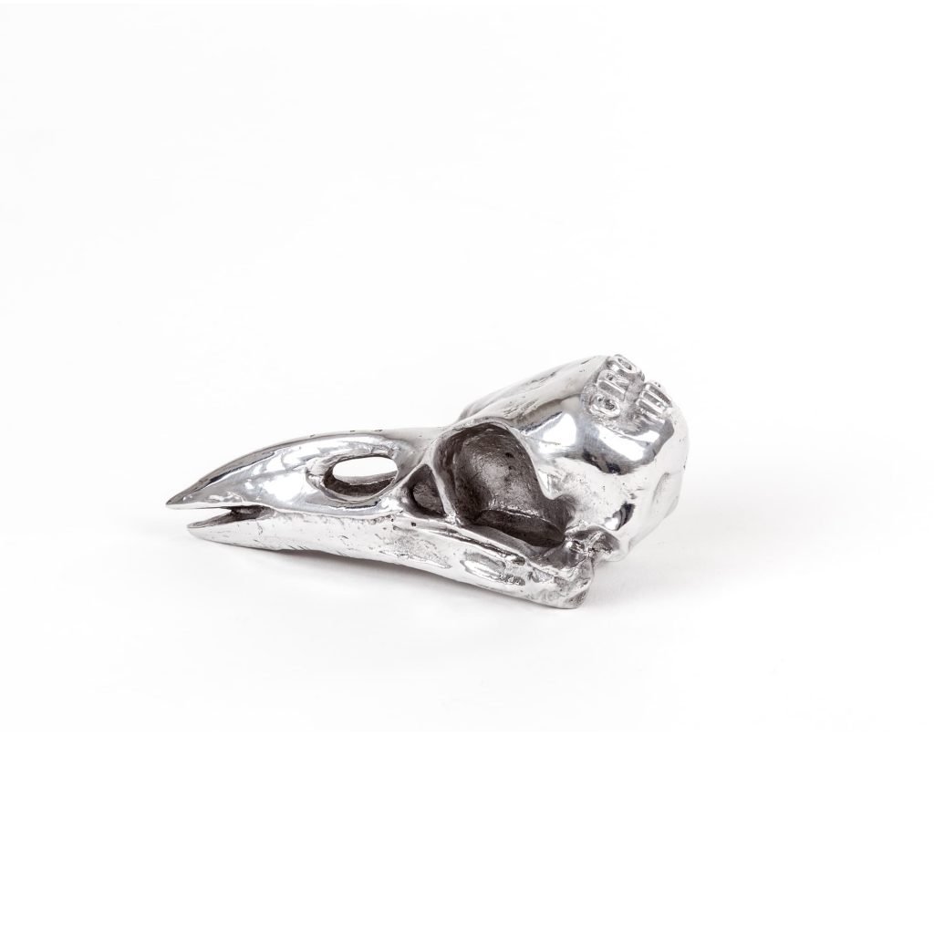 Статуэтка алюминиевая серебристая Wunderkammer Bird Skull SELETTI ПТИЦЫ 00-3883244 Серебро  - Вид №4