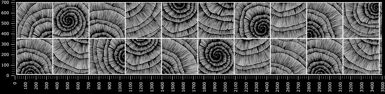 Стеновые панели - Шелл LIGRON LIST40 2185 - Вид №1