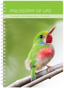 511159 Тетрадь "" А5, 96 листов Be Smart Birds