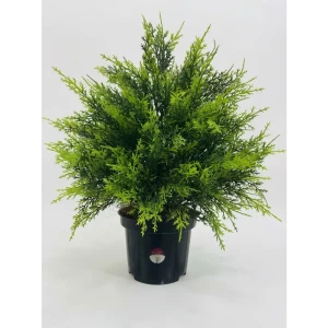 Искусственное растение куст Кипариса ø17 h50 см